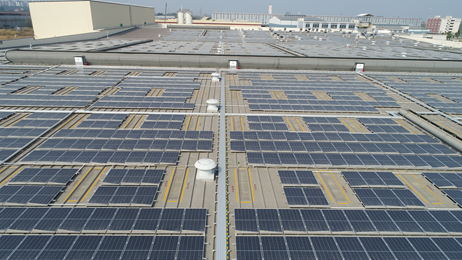 绿色创新，阳光动力 维他柠檬茶积极布局新能源，以太阳能发电助力碳达峰、碳中和