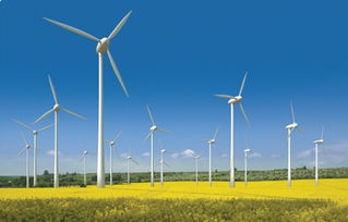 世贸通引领绿色能源新篇章 美国内华达州太阳能发电项目正式发布